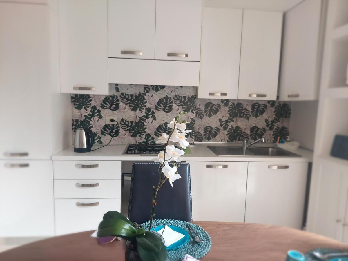 Civico 37 Casa Vacanze Porta Romana 米兰 外观 照片